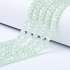 Electroplate Glass Beads Strands EGLA-A034-J10mm-B03-1