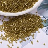 MIYUKI Delica Beads X-SEED-J020-DB0909-1