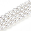 Baking Paint Pearlized Glass Pearl Bead Strands HY-T002-01C-01-3