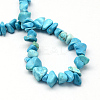 Dyed Synthetic Turquoise Stone Bead Strands X-G-R192-B24-2