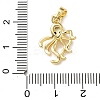 Brass Micro Pave Cubic Zirconia Pendants LS-KK-I383-07G-02-3