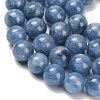 Natural Kyanite Beads Strands G-C259-B01-10mm-01-4