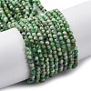 Natural Variscite Beads Strands LS-G-G188-B05-03-1