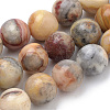 Natural Crazy Lace Agate Beads Strands G-S259-38-10mm-1
