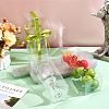 Transparent PET Tea Storage Boxes CON-WH0106-08H-5