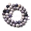 Natural Purple Stripe Jasper Beads Strands G-K350-C03-10mm-3