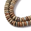 Natural Aqua Terra Jasper Beads Strands G-L624-H03-6x2mm-4