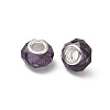 Handmade Glass European Beads LS-X-GPDL25Y-07-3