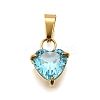 304 Stainless Steel Micro Pave Cubic Zirconia Pendants STAS-B086-13G-03-1