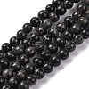 Dyed Natural Regalite/Imperial Jasper/Sea Sediment Jasper Beads Strands G-B124-C02-05-1