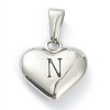 304 Stainless Steel Pendants LS-STAS-P278-01N-P-1