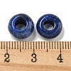 Dyed Natural Lapis Lazuli Beads G-Q173-03A-17-3