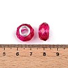 Baking Paint Transparent Glass European Beads GPDL-N004-C14mm-B03-3