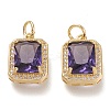 Brass Glass Charms LS-ZIRC-F116-09B-G-1