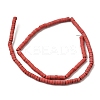 Dyed Synthetic Turquoise Beads Strands G-Z089-A04-P-4
