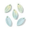 Natural Rainbow Alashan Agate Pendants G-G194-03D-1