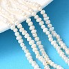 Natural Cultured Freshwater Pearl Beads Strands PEAR-I007-07L-02B-1