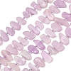 Natural Kunzite Beads Strands G-L657-E05-01-2