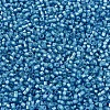 MIYUKI Delica Beads SEED-JP0008-DB1709-3