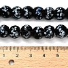 Handmade Lampwork Beads Strands LAMP-H071-01C-06-4
