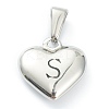 304 Stainless Steel Pendants STAS-P278-01S-P-1