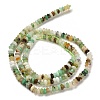 Natural Serpentine Beads Strands G-B107-D05-02-3