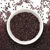 Indigo 11/0 Round Transparent Glass Seed Beads X-SEED-Q007-F57-5