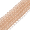 Transparent Glass Beads Strands LS-EGLA-A034-T8mm-MD20-1