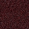 MIYUKI Round Rocailles Beads SEED-X0054-RR2410-3