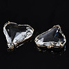 Transparent Glass Pendants LS-GLAA-Q088-022-5