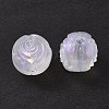 Transparent Acrylic Beads OACR-P007-40-3