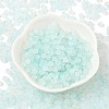 Frosted Glass Beads FGLA-D300-01B-2