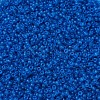 MIYUKI Round Rocailles Beads X-SEED-G007-RR0149F-3