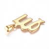 304 Stainless Steel Pendants STAS-L210-06E-G-01-2