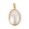 Natural Shell Pendants SSHEL-G028-02G-2