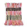 10 Skeins 6-Ply Polyester Embroidery Floss OCOR-K006-A75-1