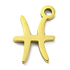 12Pcs Ion Plating(IP) 304 Stainless Steel Pendants STAS-H180-01G-2