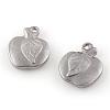 Tarnish Resistant 201 Stainless Steel Charms STAS-Q195-31-1