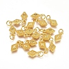 Electroplated Alloy Charms PALLOY-G267-13G-1