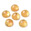 Translucent Resin Cabochons RESI-XCP0002-04-1