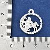 Twelve Constellations Alloy Pendants LS-PALLOY-Q006-01D-S-3