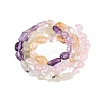 Natural Rose Quartz & Amethyst & Citrine(Heated) & Prehnite Beads Strands G-N371-01A-01-4