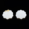 Natural Freshwater Shell Beads SHEL-T007-02-4