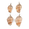 Natural Shell Pendants SHEL-K009-01D-1