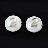 Natural Freshwater Shell Beads SHEL-N003-20-02-2