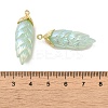 Rainbow Iridescent Plating Resin Pendants LS-RESI-C047-03D-G-3