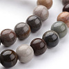 Natural Ocean Jasper Bead Strands G-K152-06-10mm-2