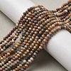 Natural Alashan Agate Beads Strands G-C127-B01-01-2