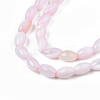 Natural Freshwater Shell Beads Strands X-SHEL-N003-25-B06-3