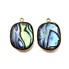 304 Stainless Steel Pave Natural Paua Shell Pendants STAS-Z125-01B-G-1